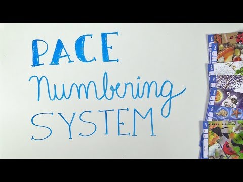  PACE Numbering System