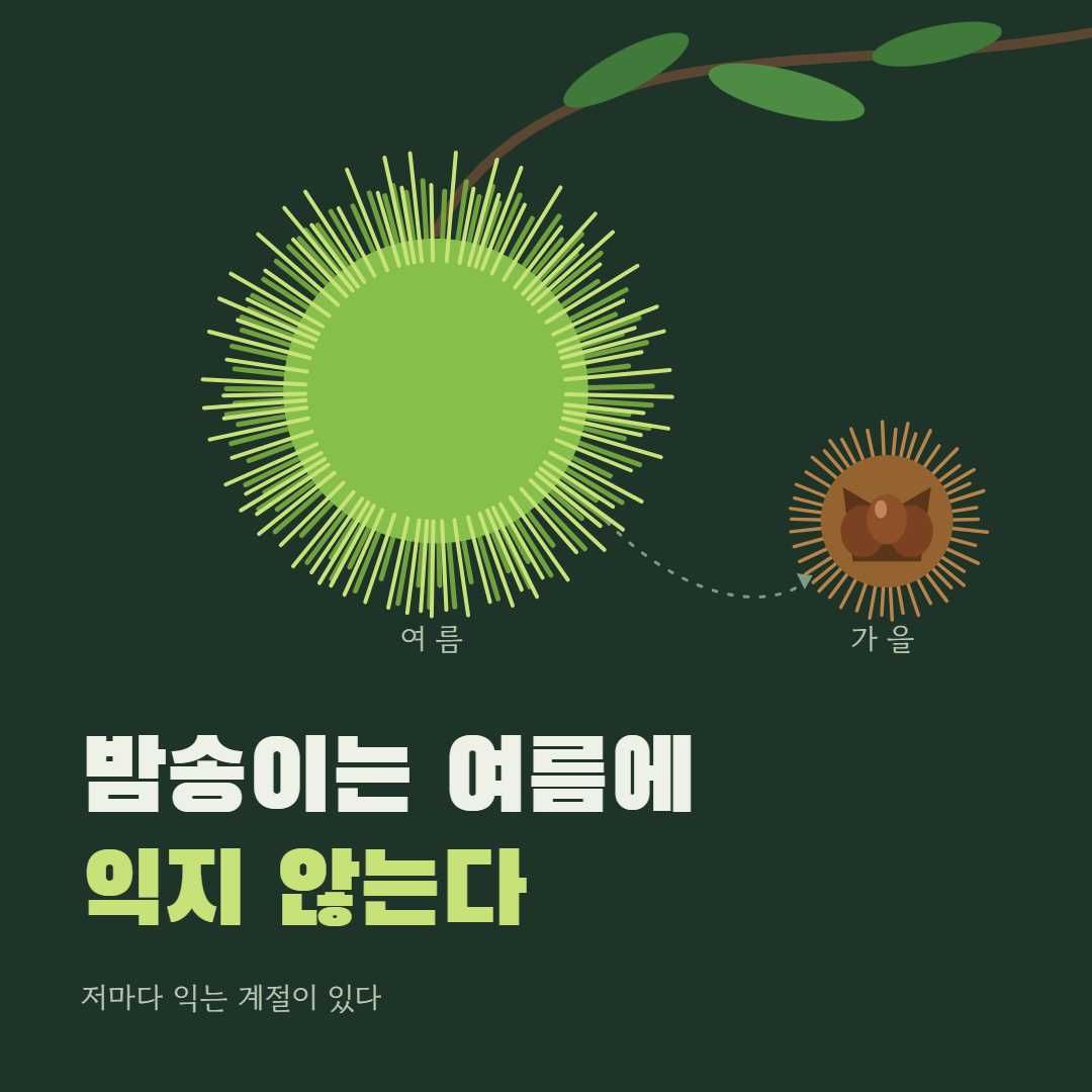 게시글 대표 이미지